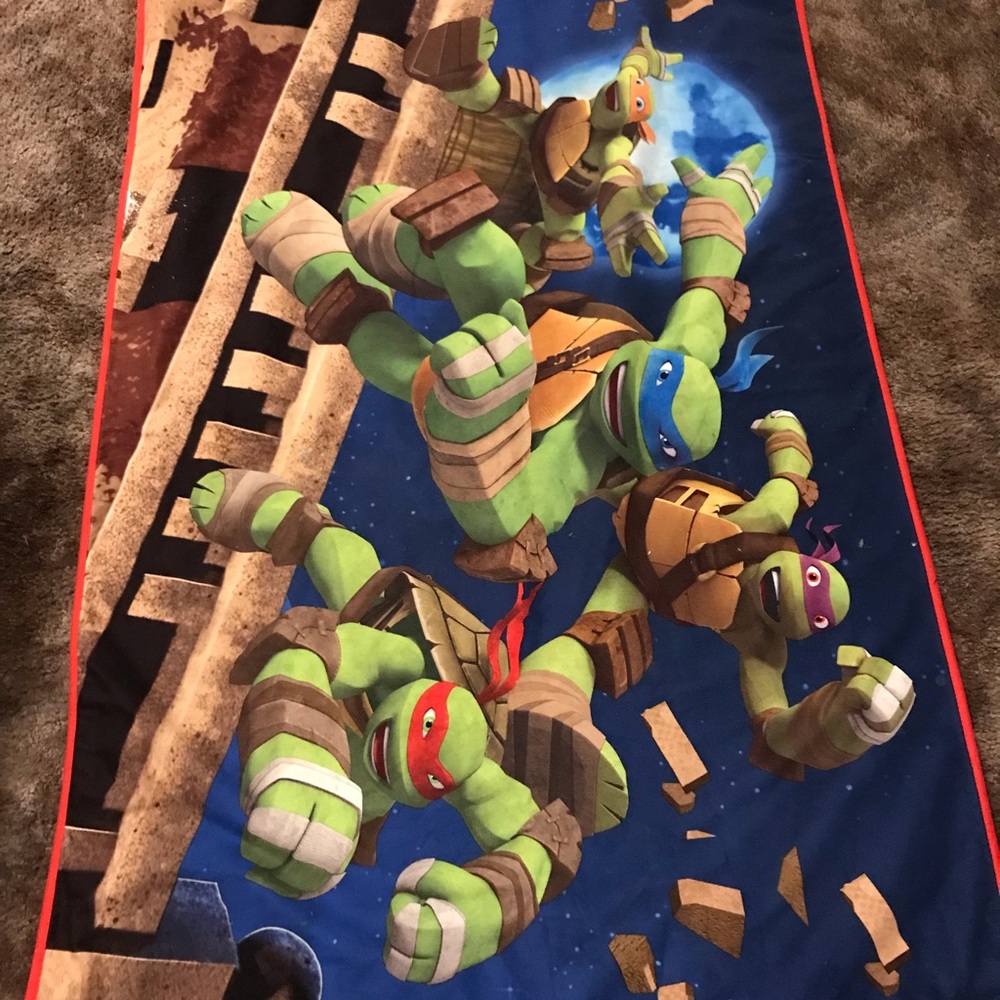 Ninja turtle carpet